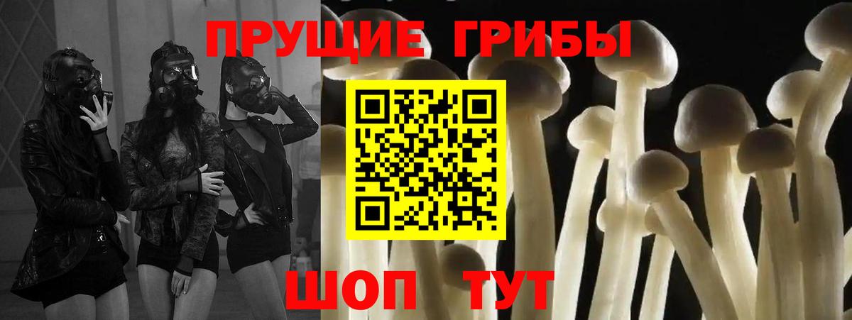 Галлюциногенные грибы ЛСД  Вход с VPN  Сорочинск 